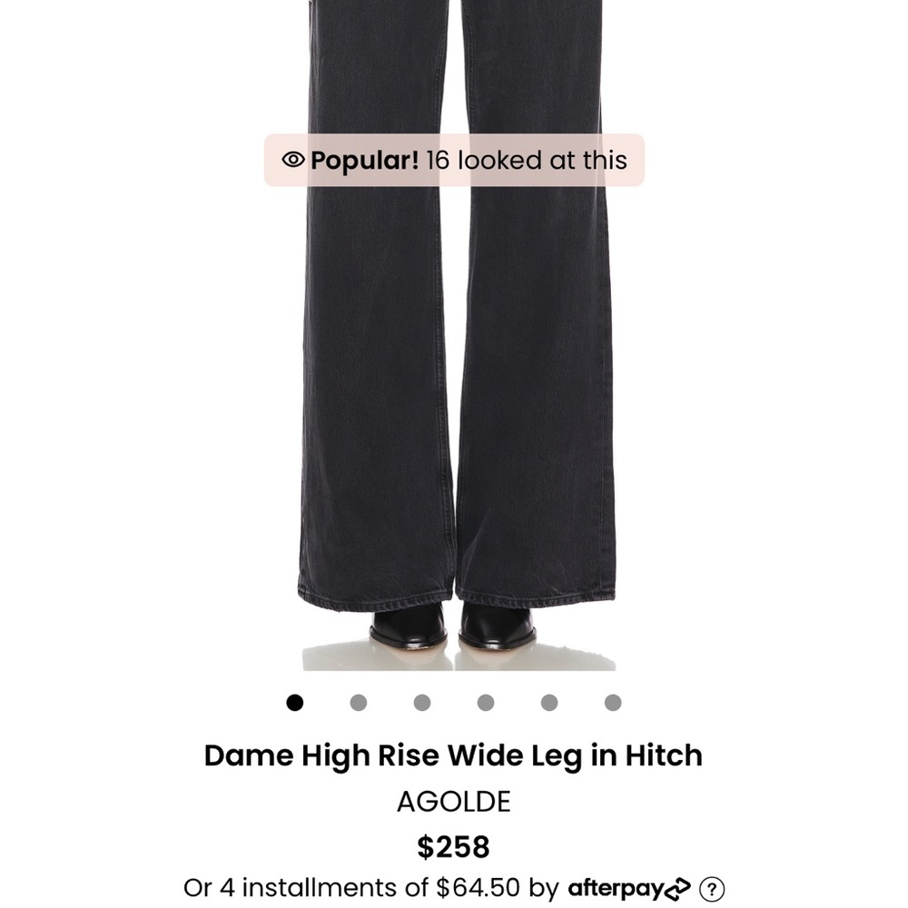 Agolde dame high rise wide leg